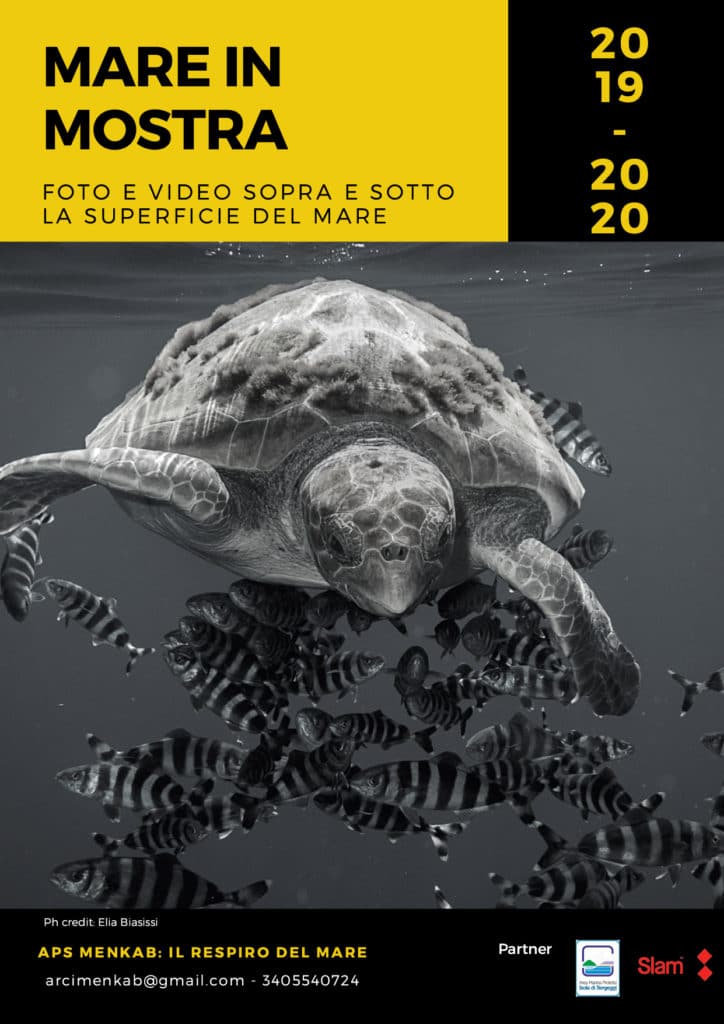 mare in mostra