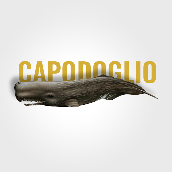 capodoglio_text