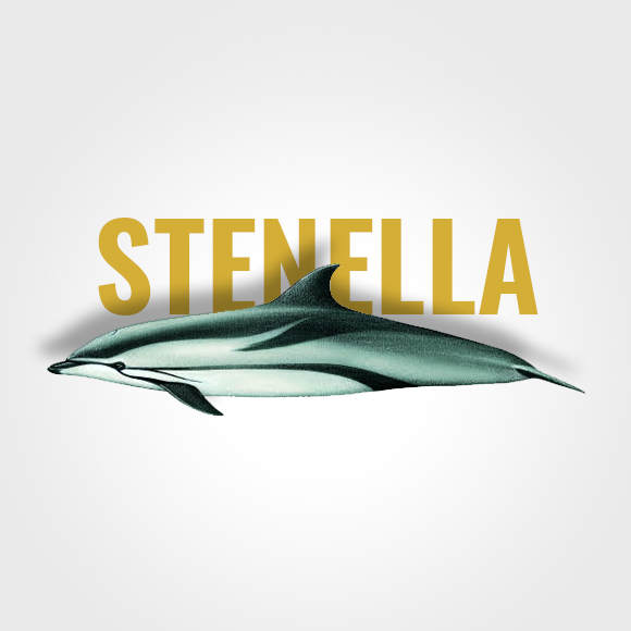 stenella_text