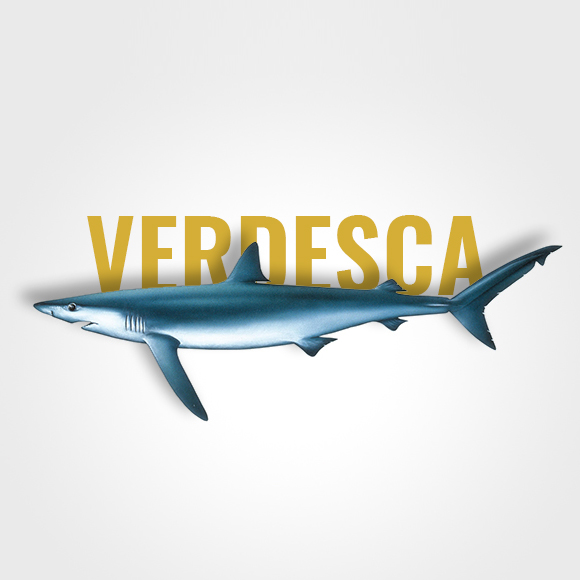 verdesca_title